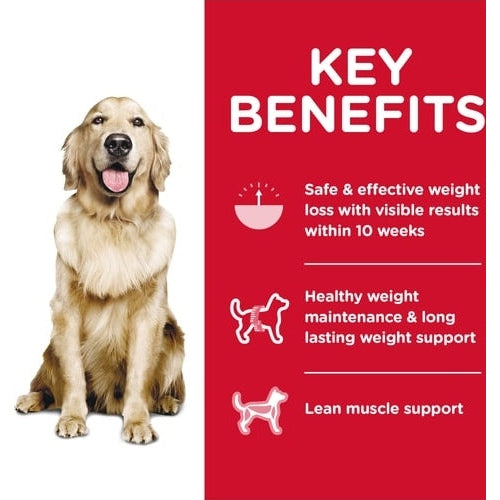 HILL'S SCIENCE DIET K9 PERFECT WEIGHT