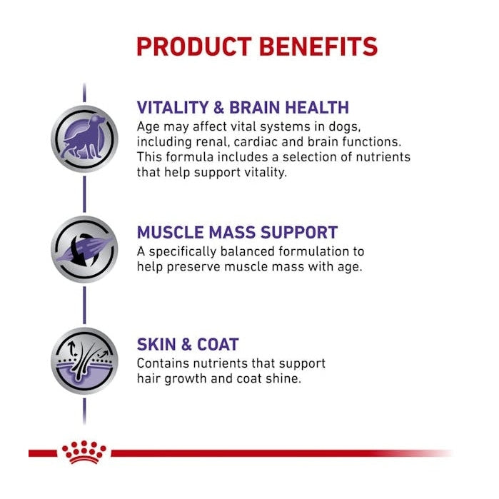 ROYAL CANIN K9 MATURE MEDIUM DOG