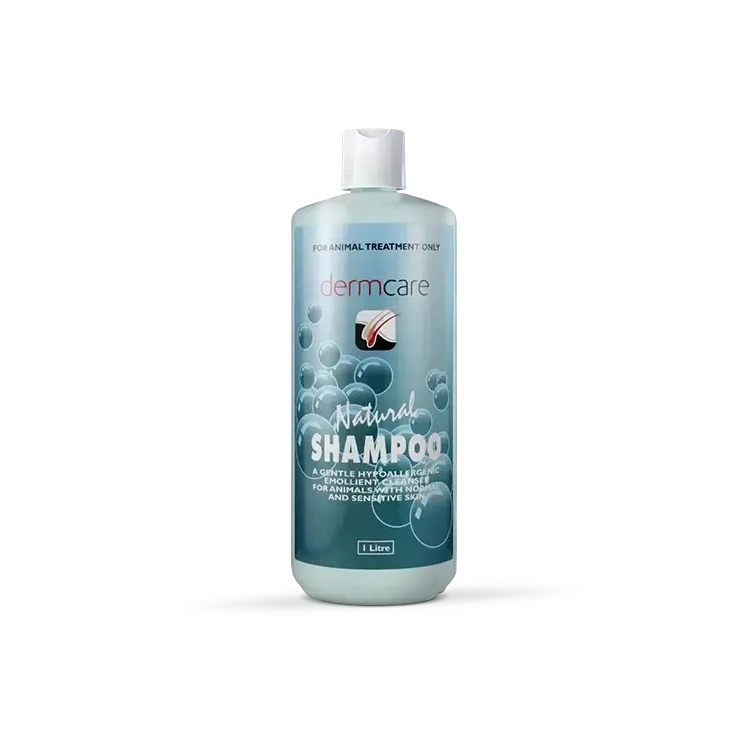DERMCARE NATURAL SHAMPOO