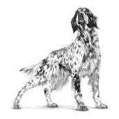 ROYAL CANIN K9 SENSITIVITY CONTROL