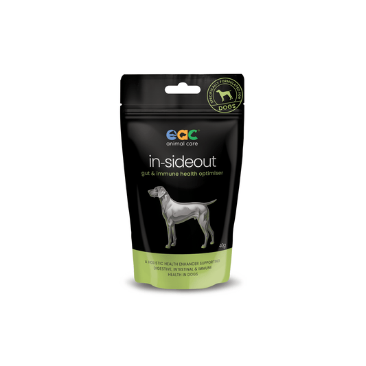 EAC IN-SIDEOUT DOG