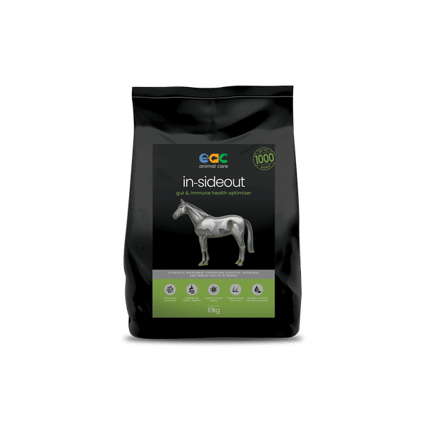 EAC IN-SIDEOUT HORSE