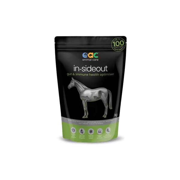 EAC IN-SIDEOUT HORSE