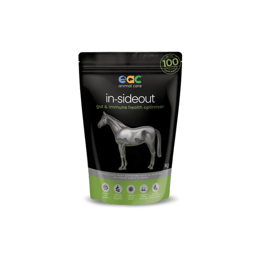 EAC IN-SIDEOUT HORSE