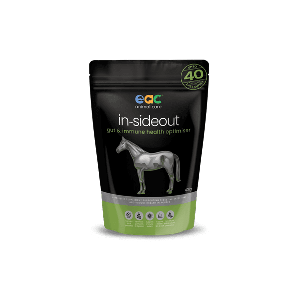 EAC IN-SIDEOUT HORSE