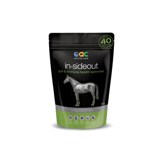 EAC IN-SIDEOUT HORSE