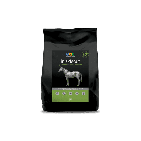 EAC IN-SIDEOUT HORSE